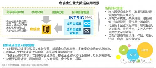 厦门财税咨询行业数字化变革 中国商业查询平台赋能专业服务厂商案例解析