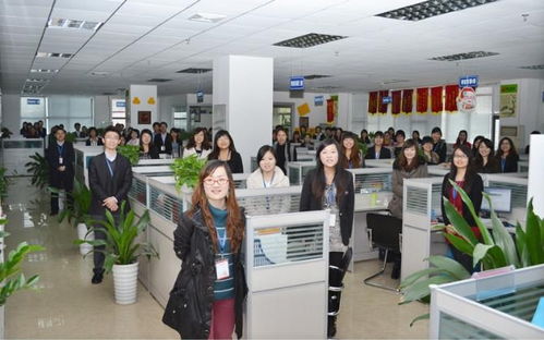 深圳金桔在线信息咨询与厦门财税咨询 跨区域财税服务的新模式