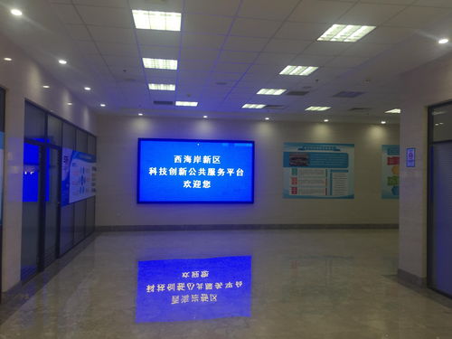 跨城协奏 青岛蓝海创投与厦门财税咨询的双城赋能之道